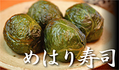 an_05_pic_07.png